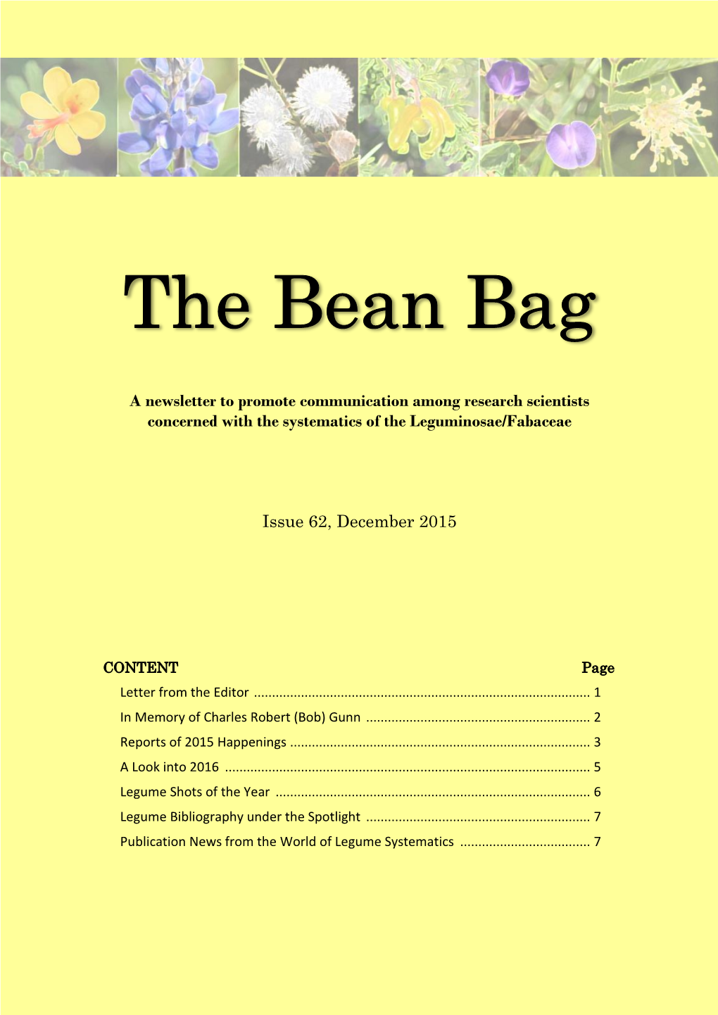 The Bean Bag