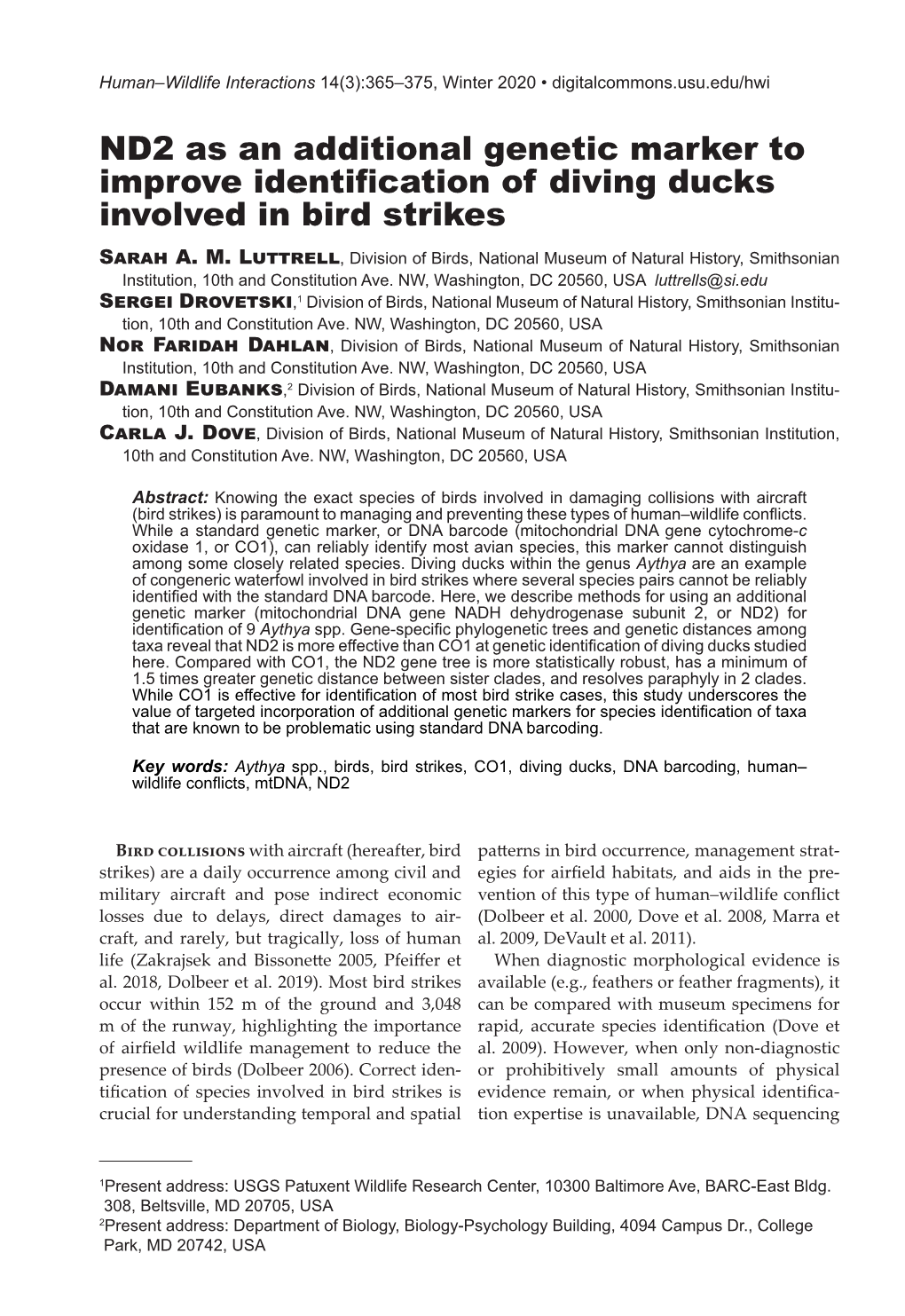 ND2 As an Additional Genetic Marker to Improve Identification of Diving Ducks Involved in Bird Strikes Sarah A