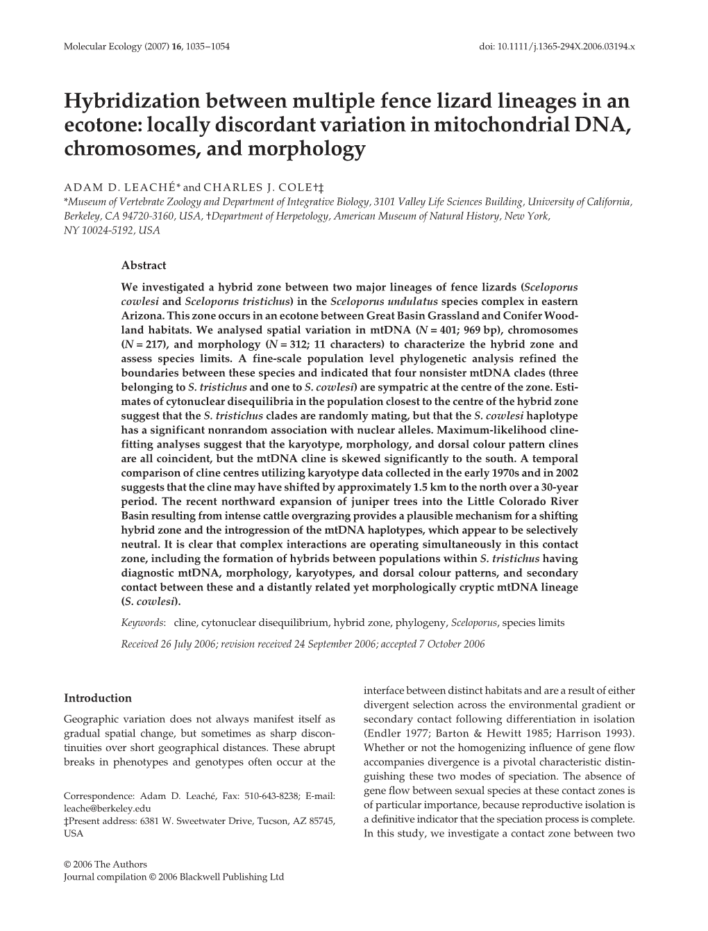 Hybridization Between Multiple Fence Lizard Lineages in an Ecotone