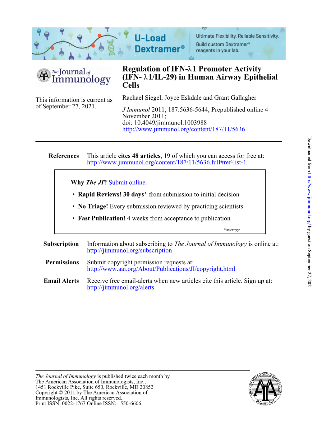 Cells 1/IL-29) in Human Airway Epithelial Λ (IFN- 1 Promoter Activity