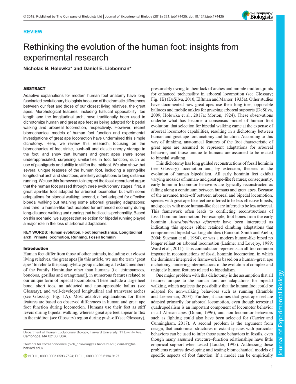 Rethinking the Evolution of the Human Foot: Insights from Experimental Research Nicholas B