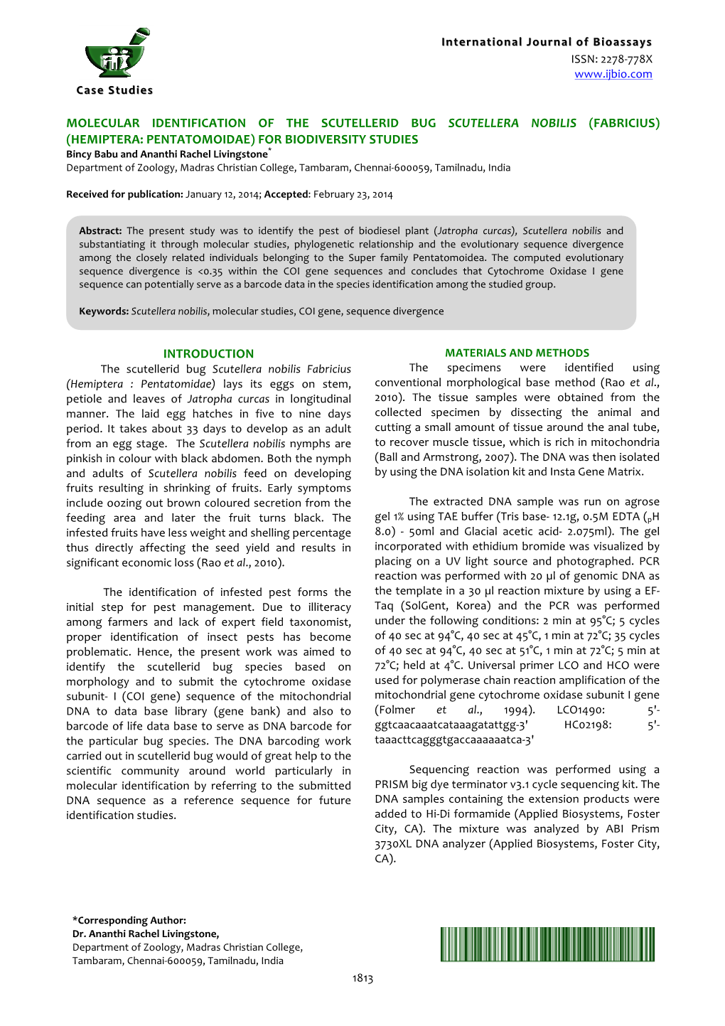 Molecular Identification Of