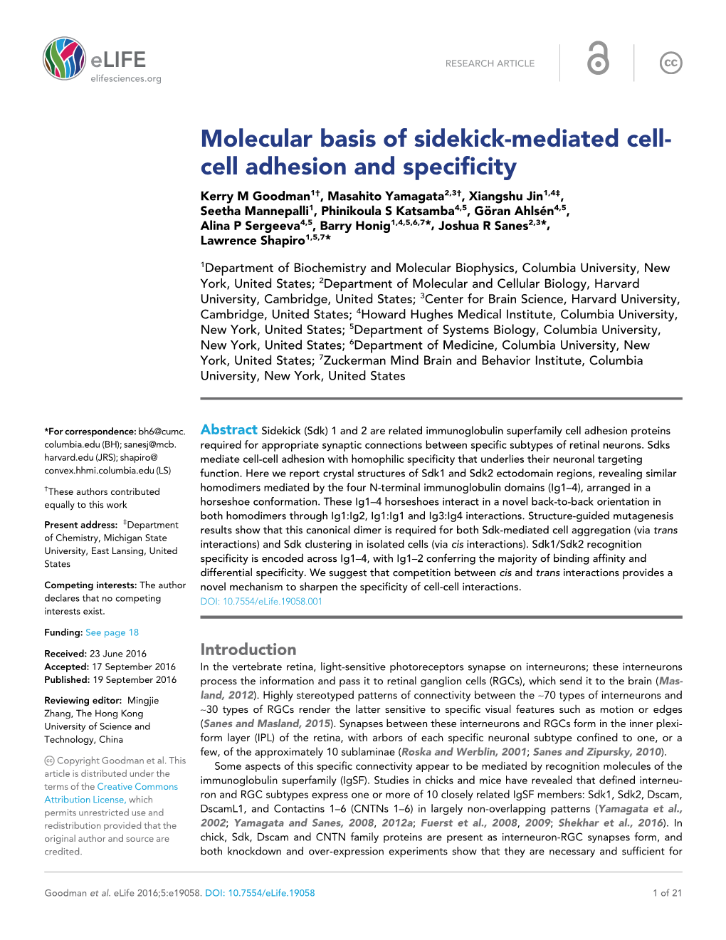 Cell Adhesion and Specificity