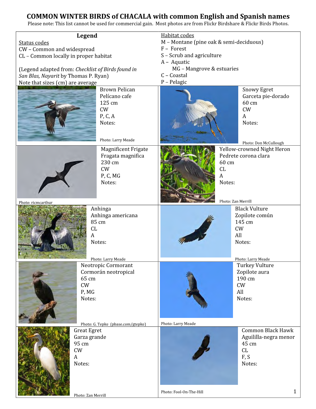COMMON WINTER BIRDS of CHACALA with Common English and Spanish Names Please Note: This List Cannot Be Used for Commercial Gain