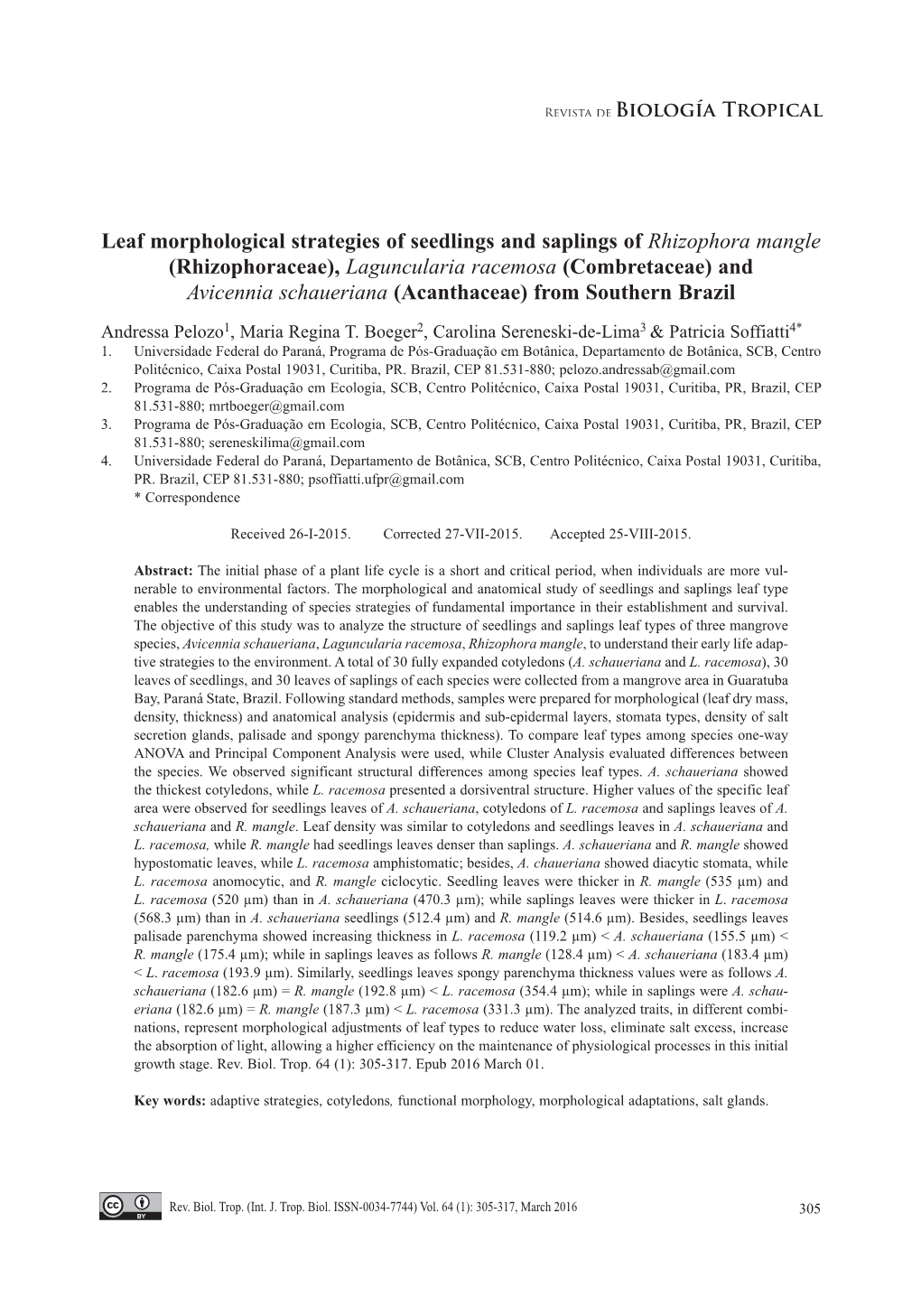 Leaf Morphological Strategies of Seedlings and Saplings Of