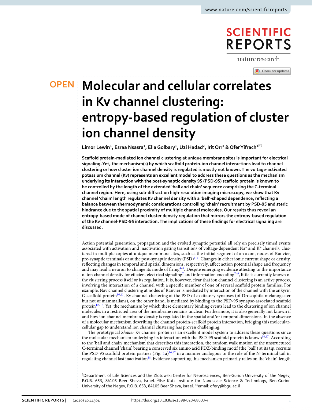 Entropy-Based Regulation of Cluster Ion Channel Density