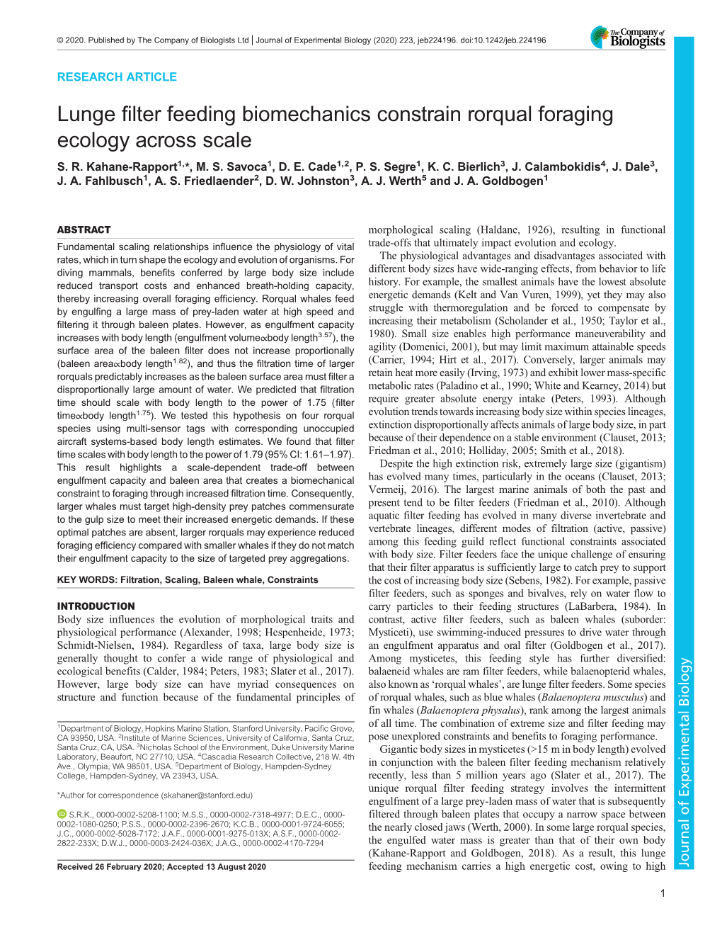 Lunge Filter Feeding Biomechanics Constrain Rorqual Foraging Ecology Across Scale S