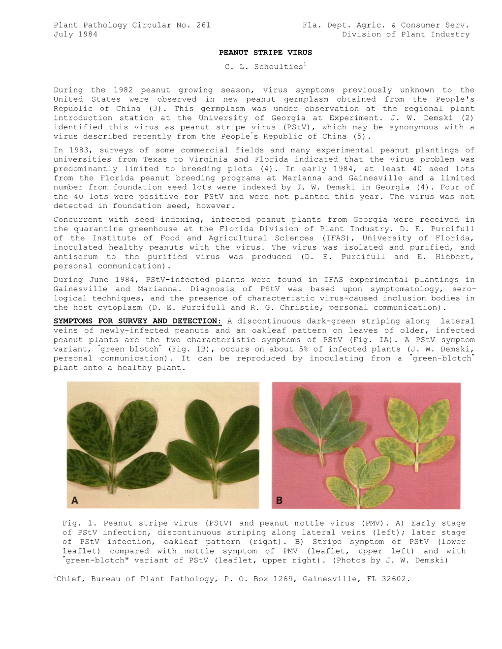 Plant Pathology Circular No. 261 Fla. Dept. Agric. & Consumer Serv. July 1984 Division of Plant Industry PEANUT STRIPE VIRUS