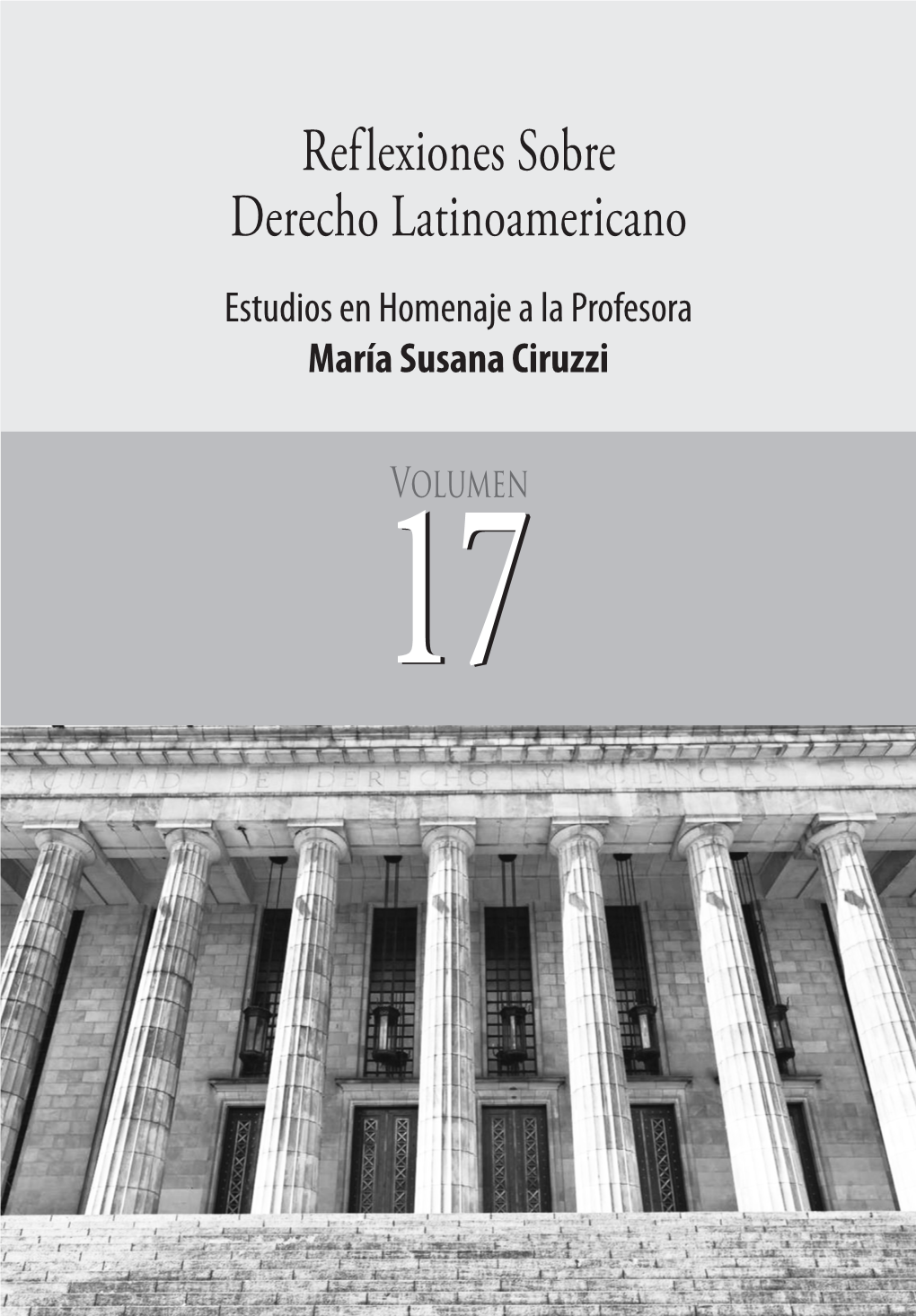 Reflexiones Sobre Derecho Latinoamericano Estudios En Homenaje a La Profesora María Susana Ciruzzi