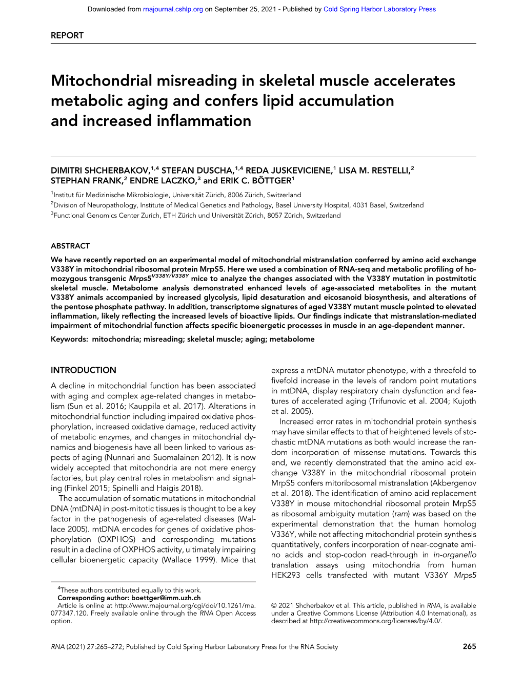 Mitochondrial Misreading in Skeletal Muscle Accelerates Metabolic Aging and Confers Lipid Accumulation and Increased Inflammation