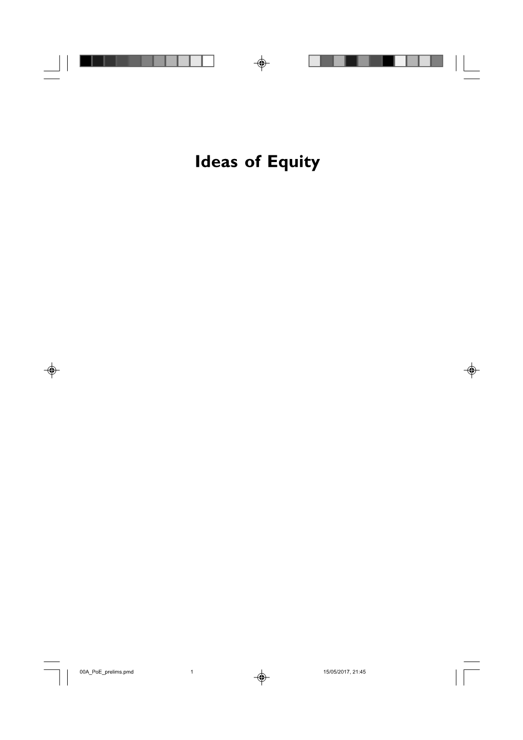 Ideas of Equity (Pdf)