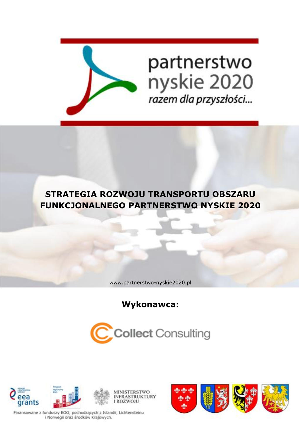 STRATEGIA ROZWOJU TRANSPORTU OBSZARU FUNKCJONALNEGO PARTNERSTWO NYSKIE 2020 Wykonawca