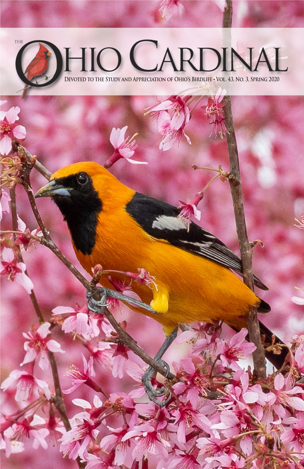 Devoted to the Study and Appreciation of Ohio's Birdlife • Vol. 43, No. 3, Spring 2020