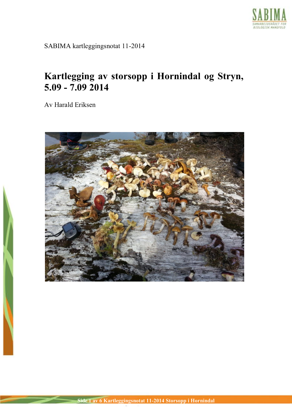 Kartlegging Av Storsopp I Hornindal Og Stryn, 5.09 - 7.09 2014