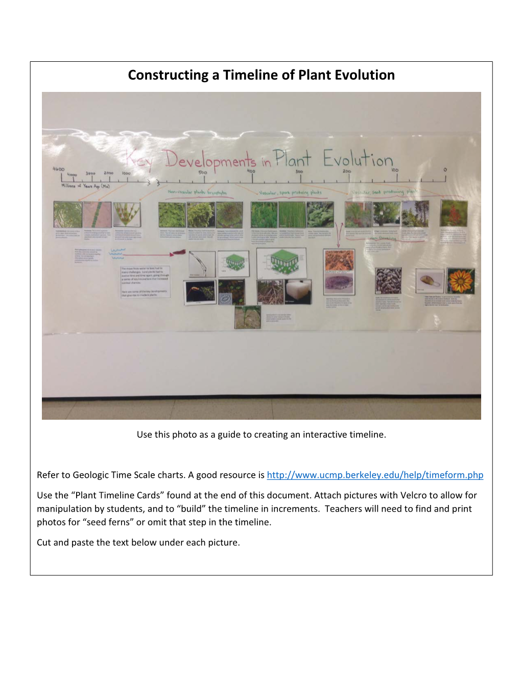 Construct a Plant Evolution Timeline