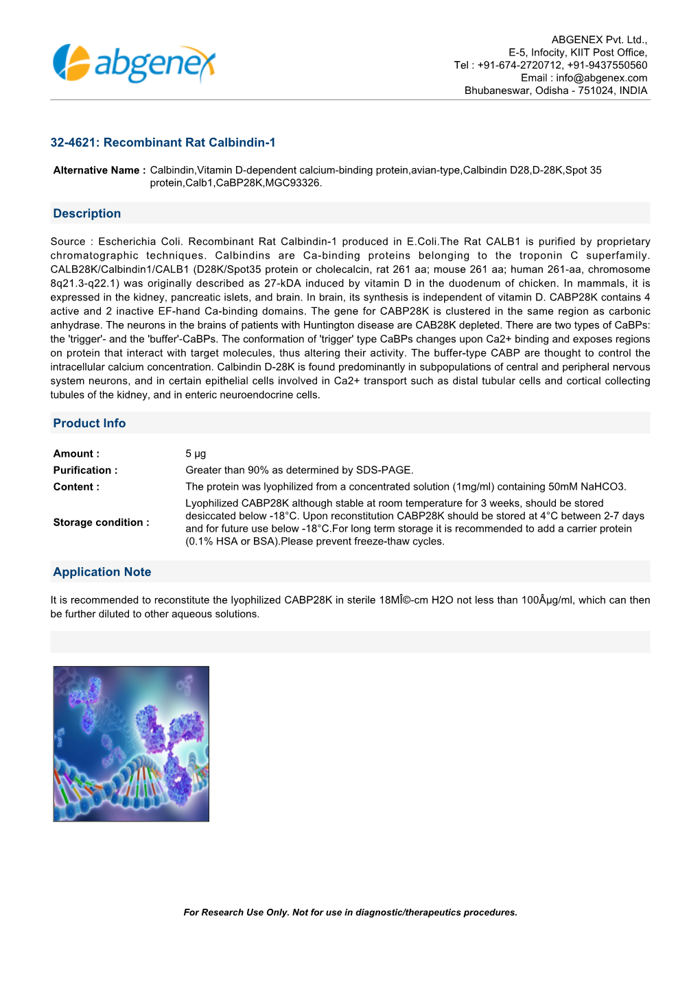 32-4621: Recombinant Rat Calbindin-1 Description Product