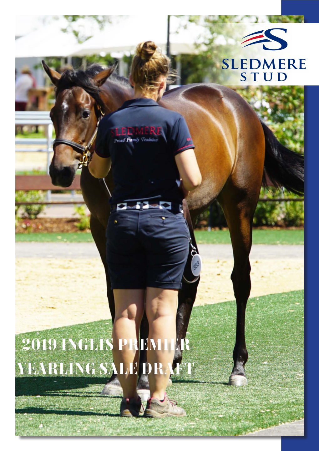 2019 Inglis Premier Yearling Sale Draft