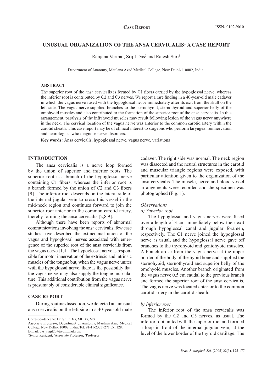 Unusual Organization of the Ansa Cervicalis: a Case Report