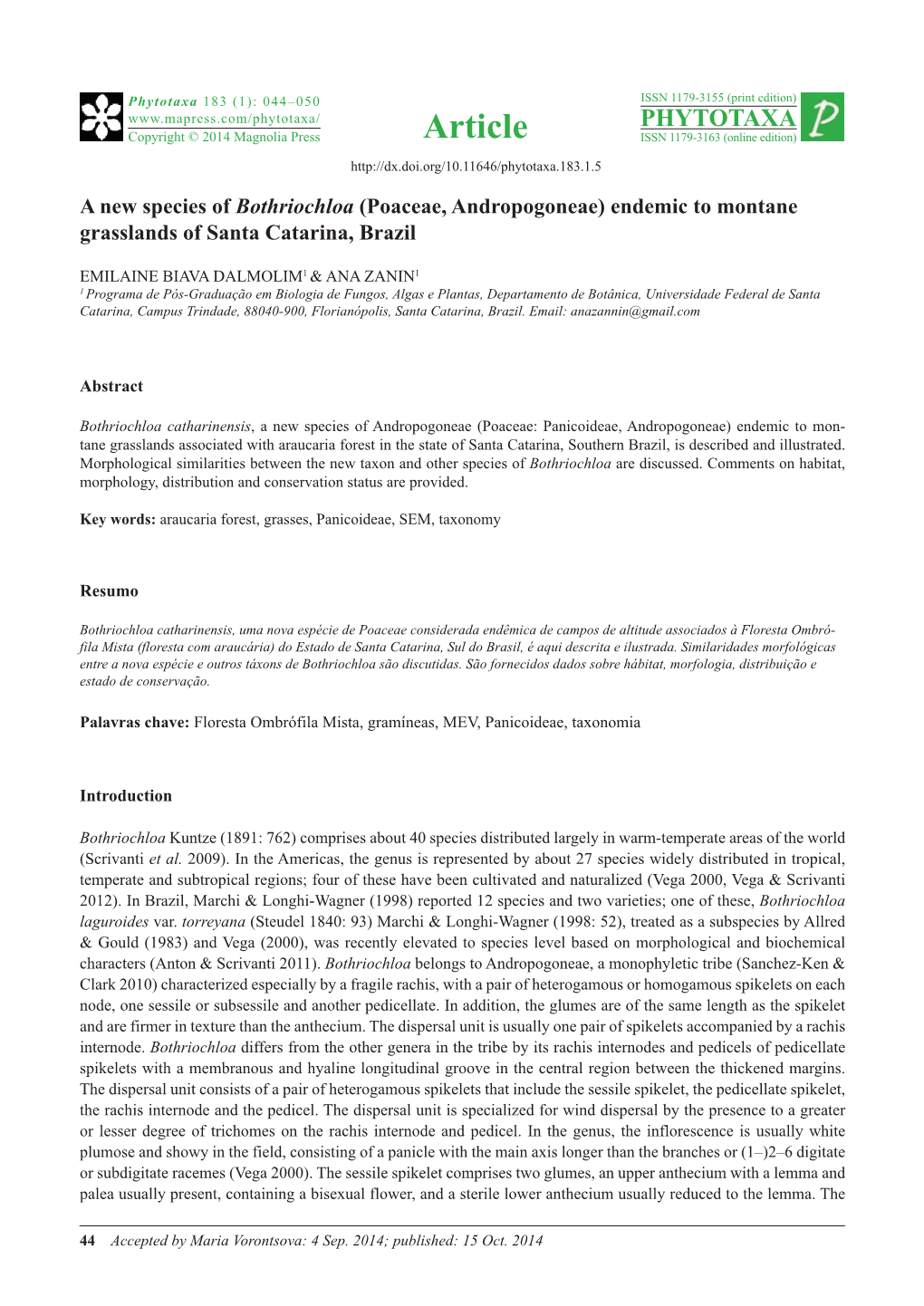 A New Species of Bothriochloa (Poaceae, Andropogoneae) Endemic to Montane Grasslands of Santa Catarina, Brazil