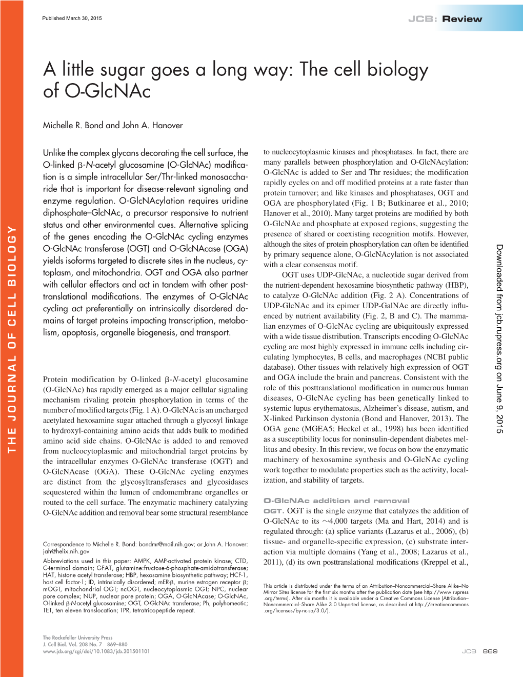 A Little Sugar Goes a Long Way: the Cell Biology of O-Glcnac