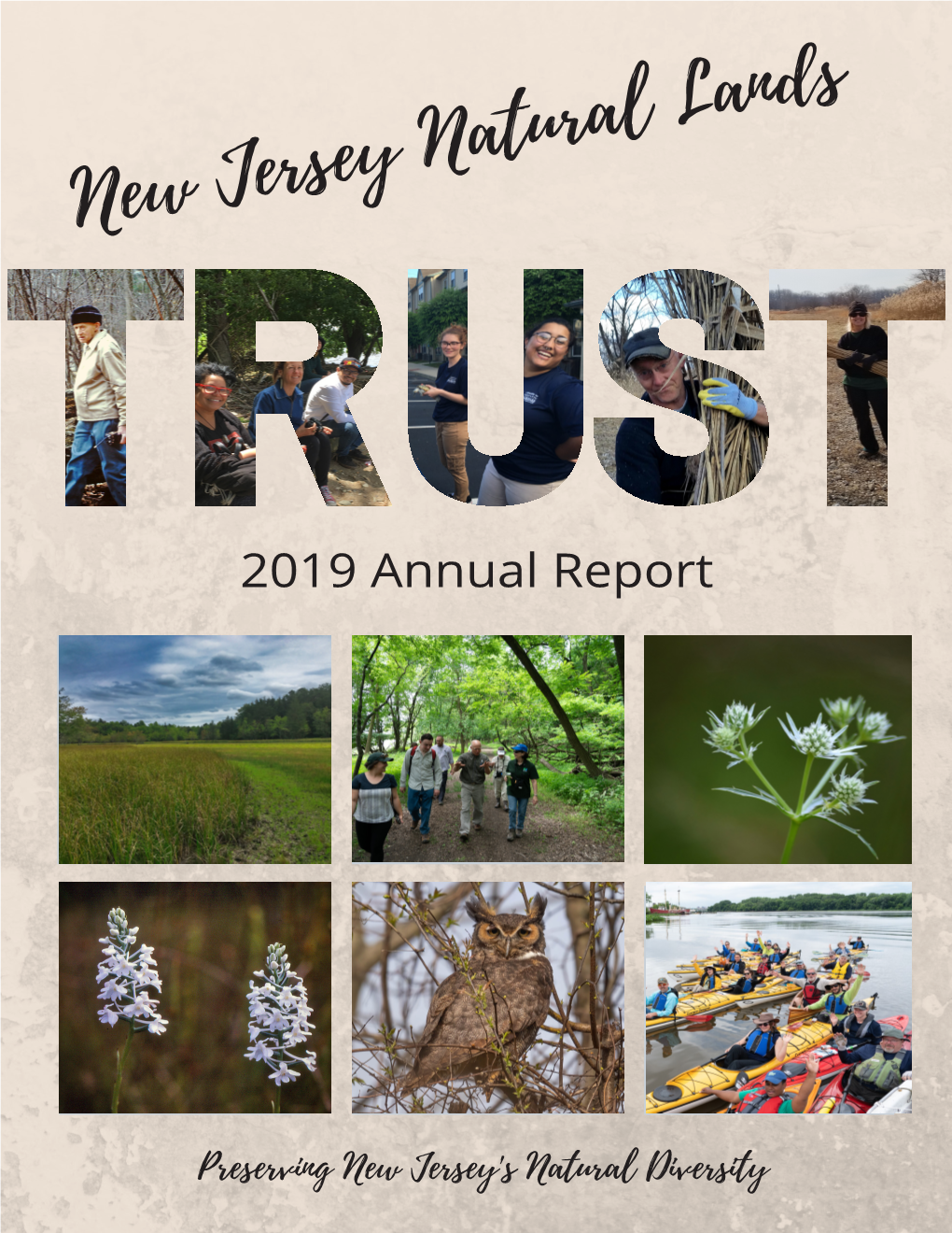 2019 Annual Report