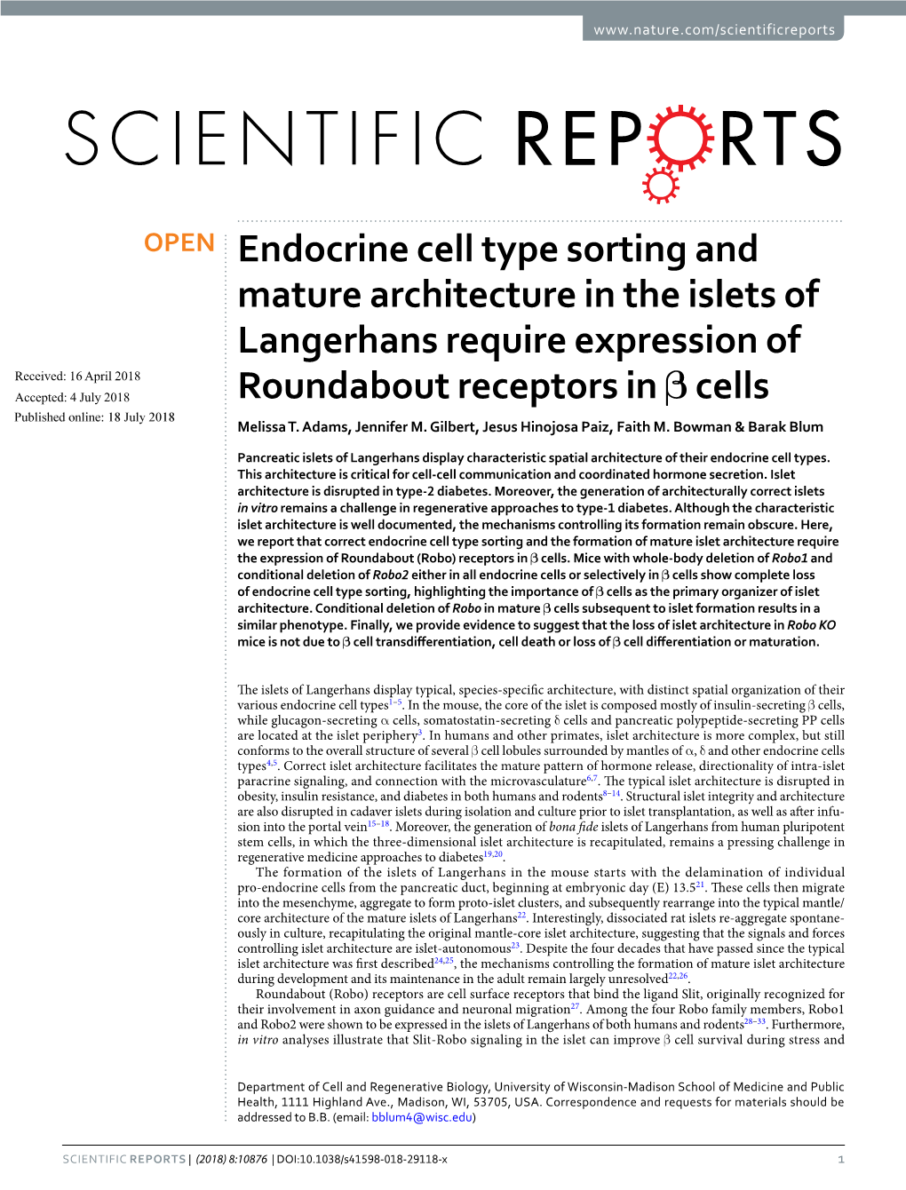 Endocrine Cell Type Sorting and Mature Architecture in the Islets Of