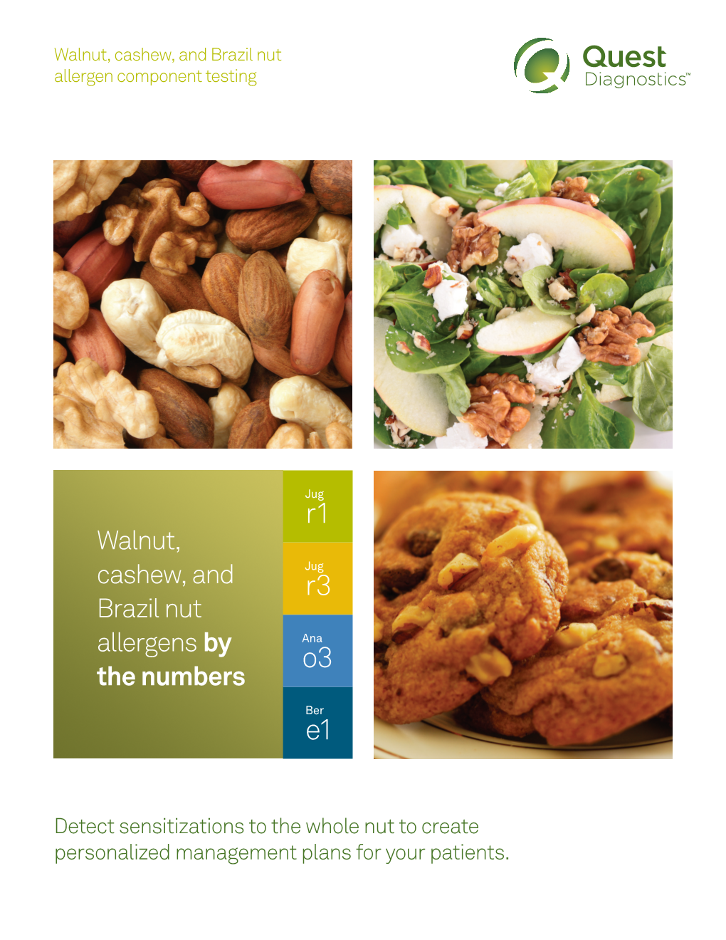 Tree Nut Allergen Component Testing Brochure