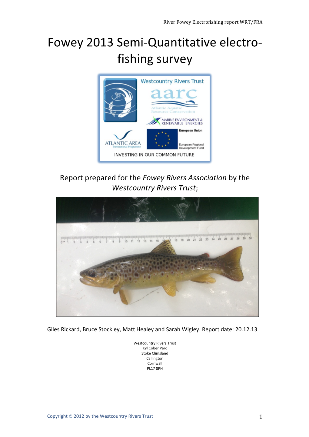 Fowey 2013 Semi-‐Quantitative Electro-‐ Fishing Survey