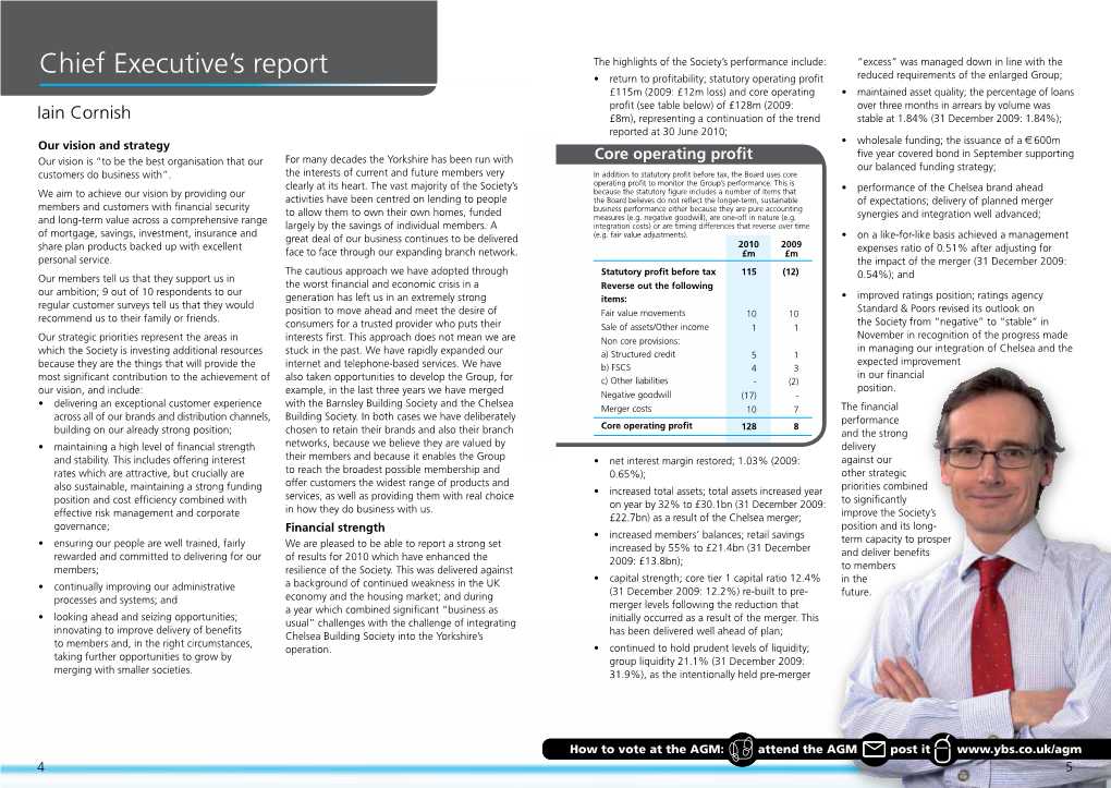 Chief Executive's Report 2010