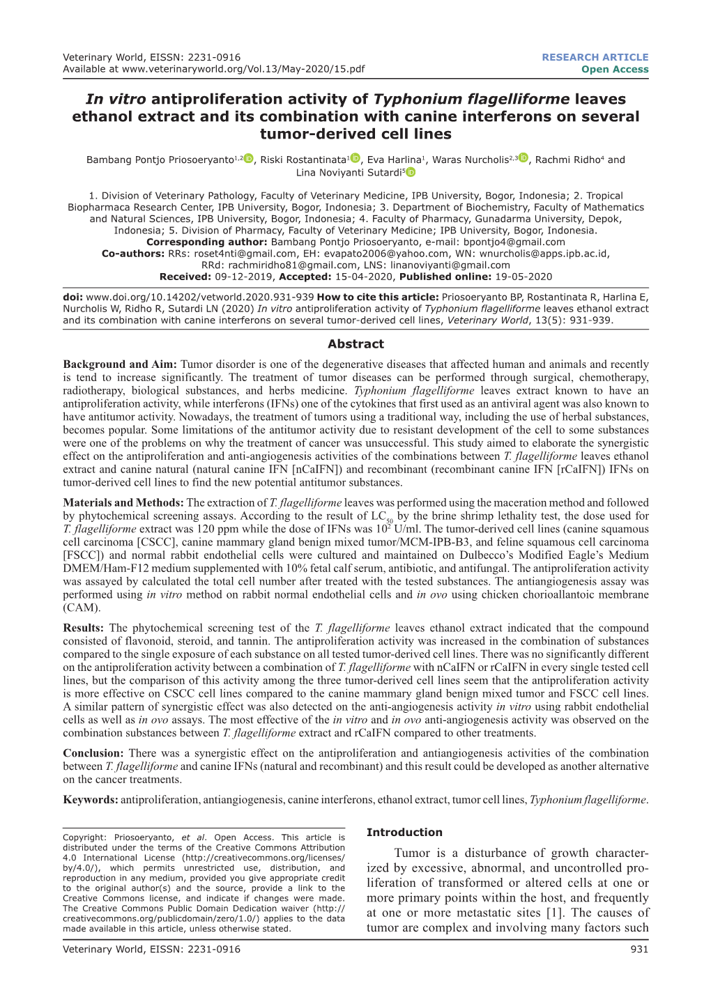 In Vitro Antiproliferation Activity of Typhonium Flagelliforme Leaves Ethanol Extract and Its Combination with Canine Interferons on Several Tumor-Derived Cell Lines