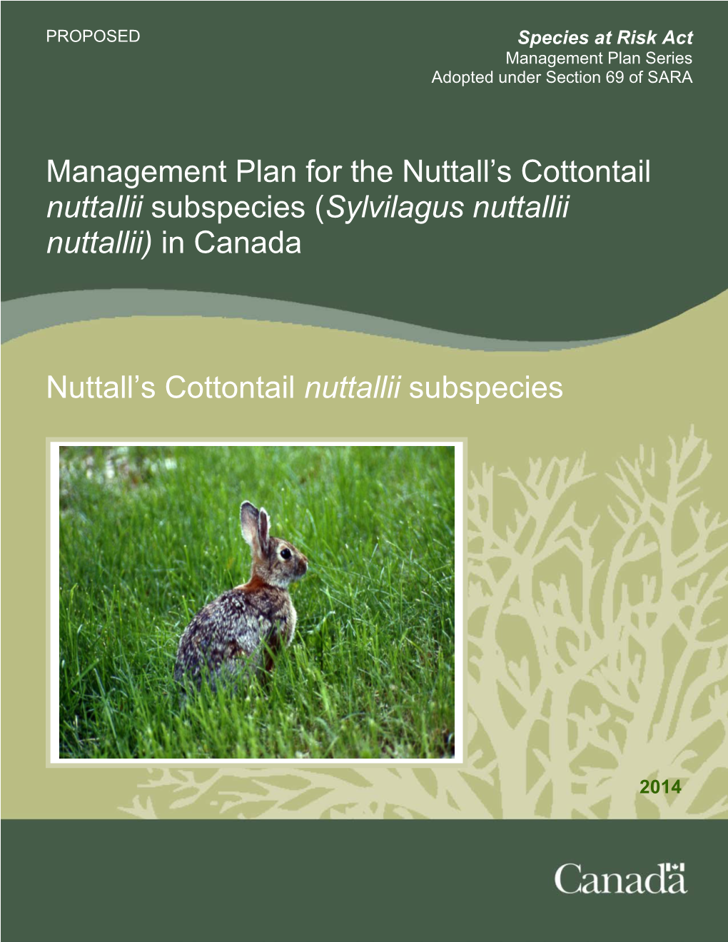 Nuttall's Cottontail (Sylvilagus Nuttallii) in British Columbia'', Prepared by the BC Nuttall's Cottontail Working Group