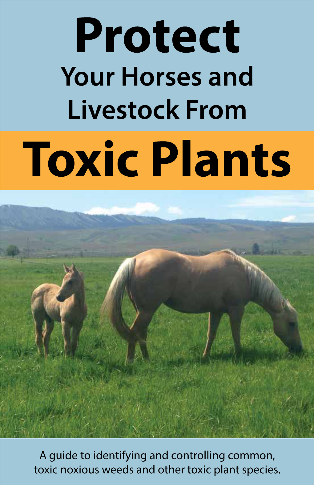 Protect Your Horses and Livestock from Toxic Plants