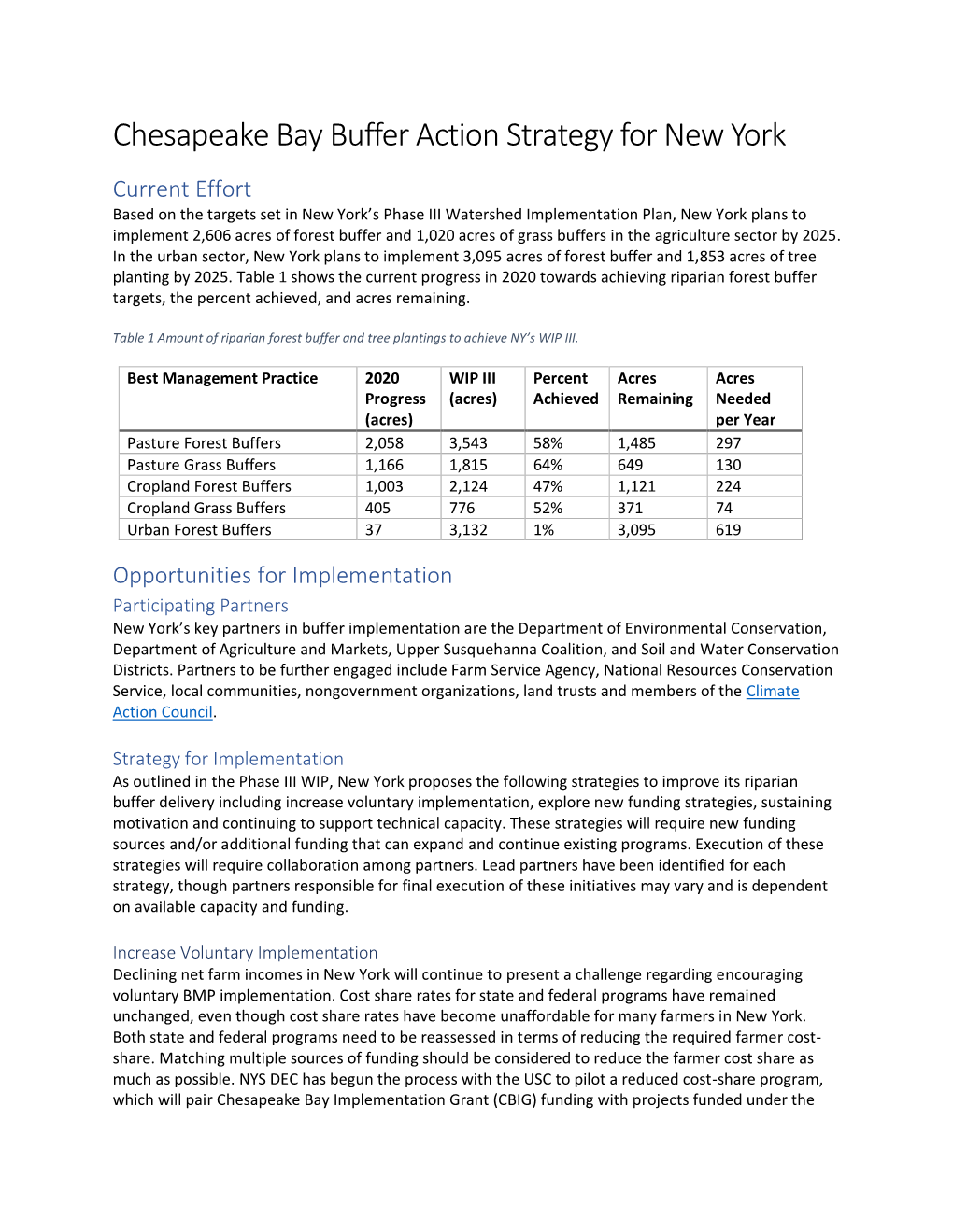 New York Buffer Action Plan