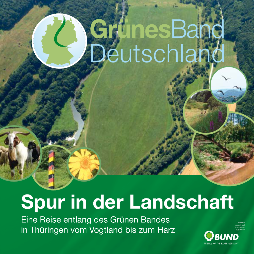 Spur in Der Landschaft