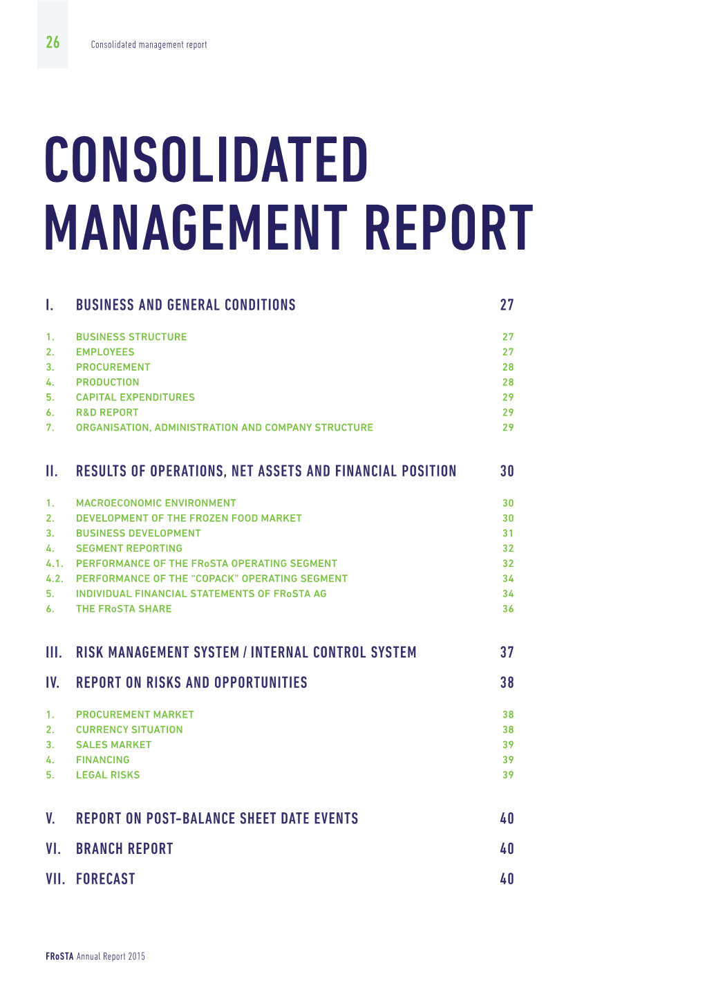 Consolidated Management Report