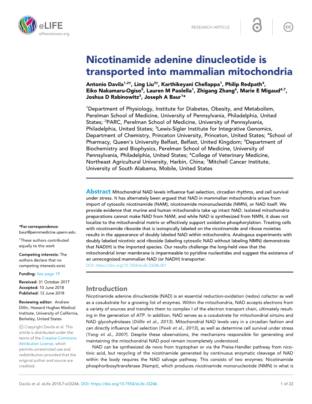 Nicotinamide Adenine Dinucleotide Is Transported Into Mammalian