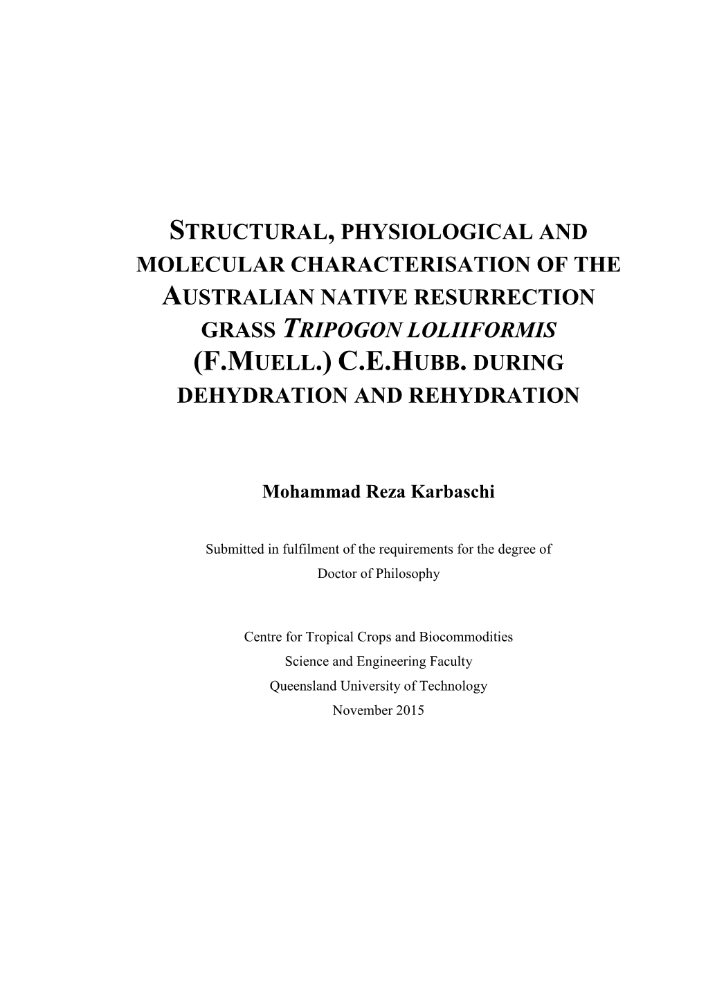 Mohammad Karbaschi Thesis