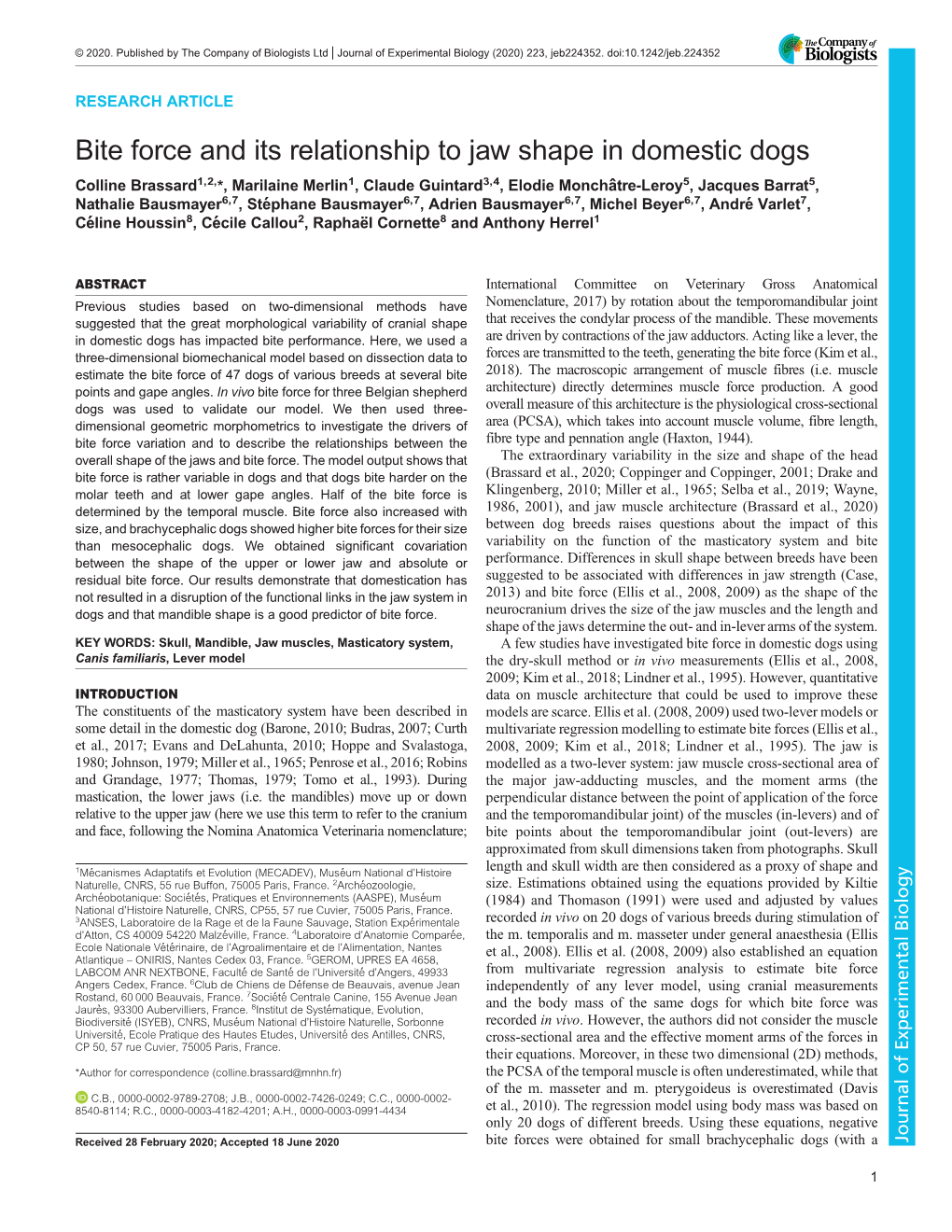 Bite Force and Its Relationship to Jaw Shape