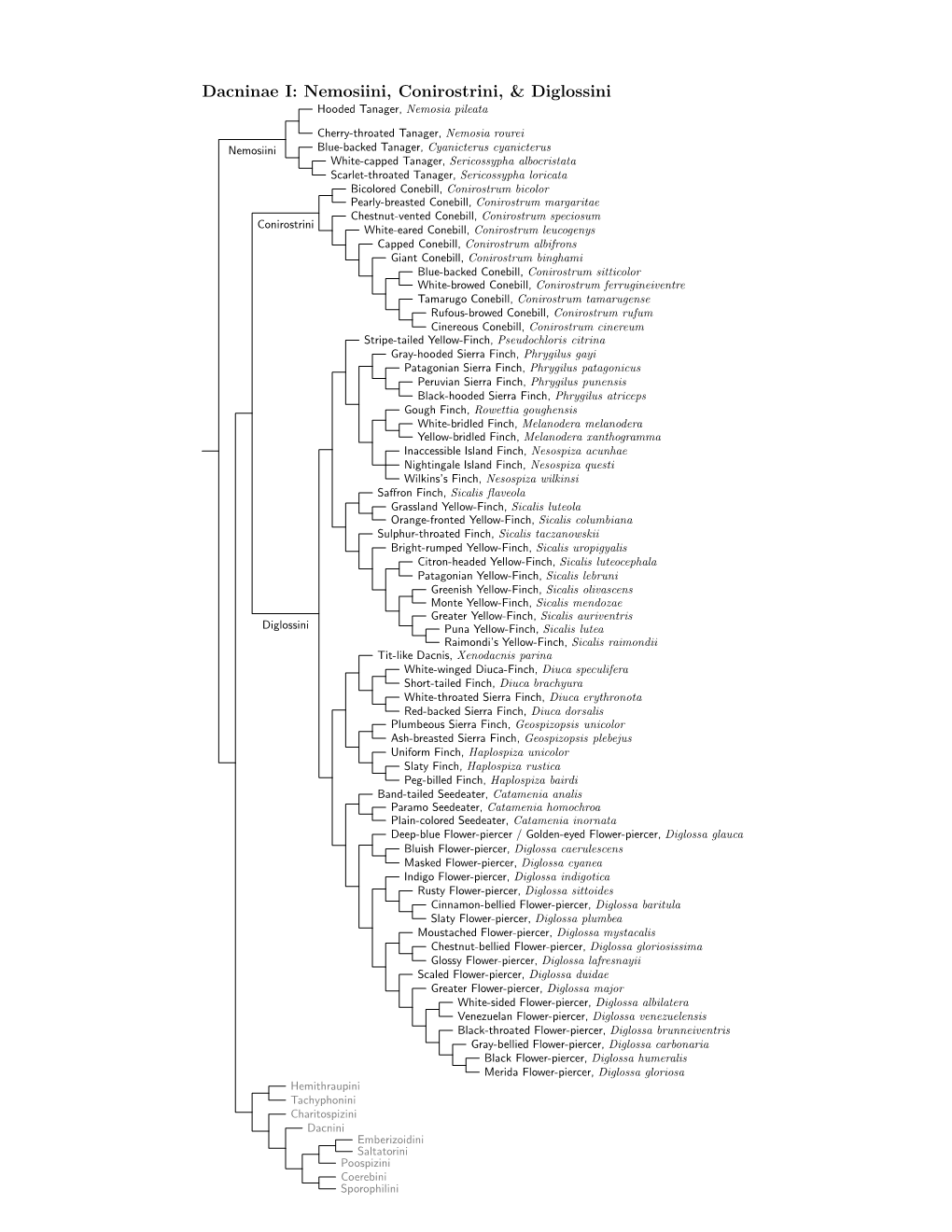 Dacninae Species Tree, Part I