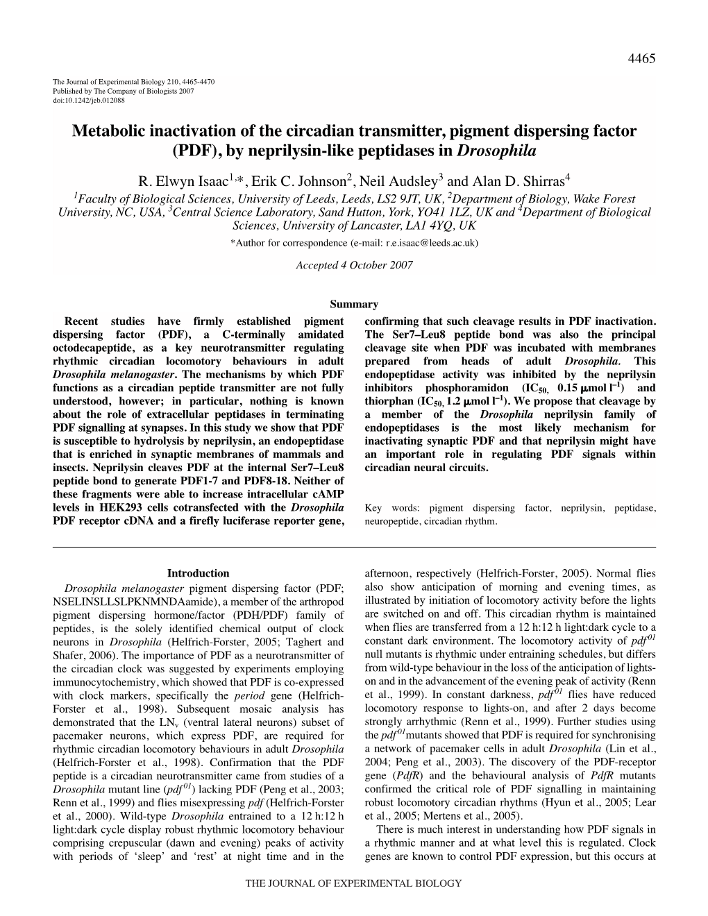 Metabolic Inactivation of the Circadian Transmitter, Pigment Dispersing Factor (PDF), by Neprilysin-Like Peptidases in Drosophila R