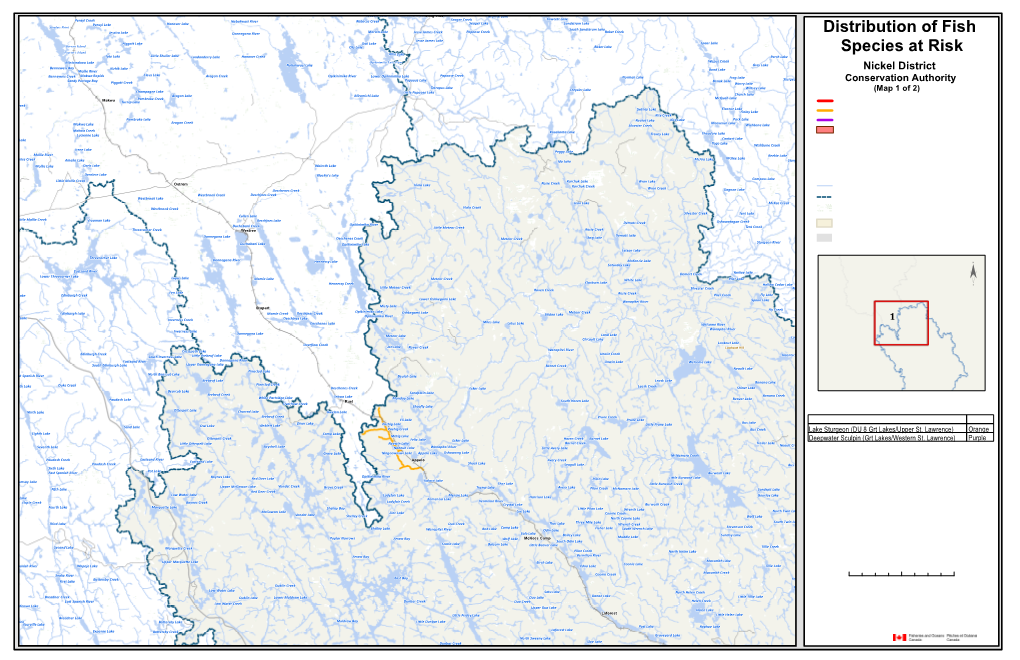 Distribution of Fish Species at Risk