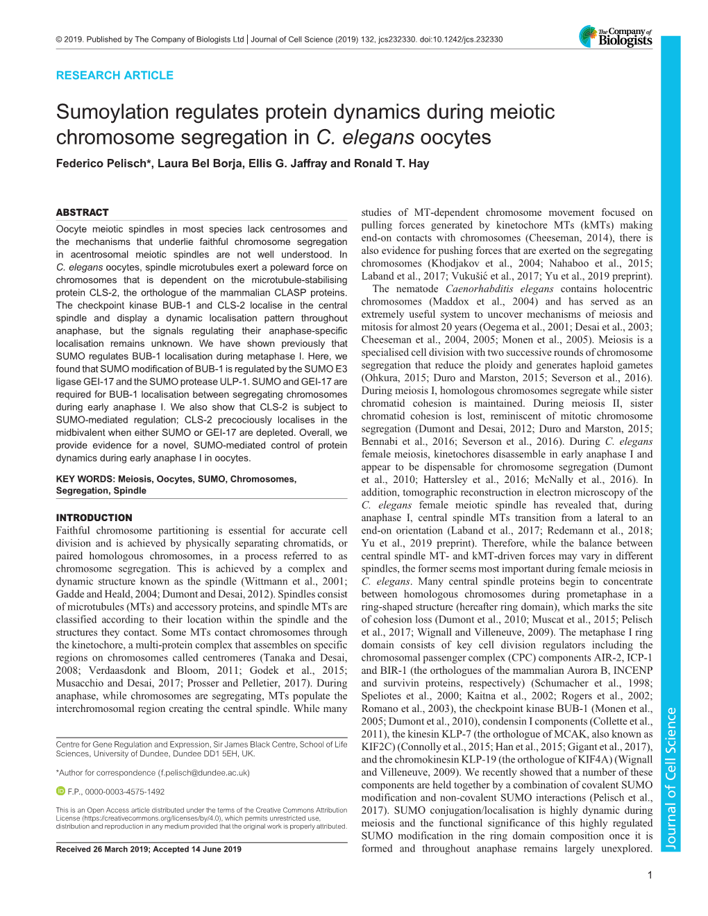 Sumoylation Regulates Protein Dynamics During Meiotic Chromosome Segregation in C