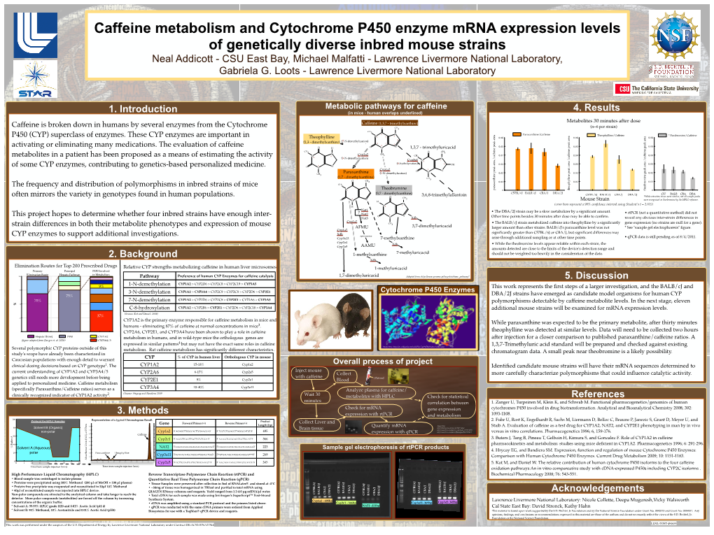 Caffeine Metabolism and Cytochrome P450 Enzyme Mrna Expression