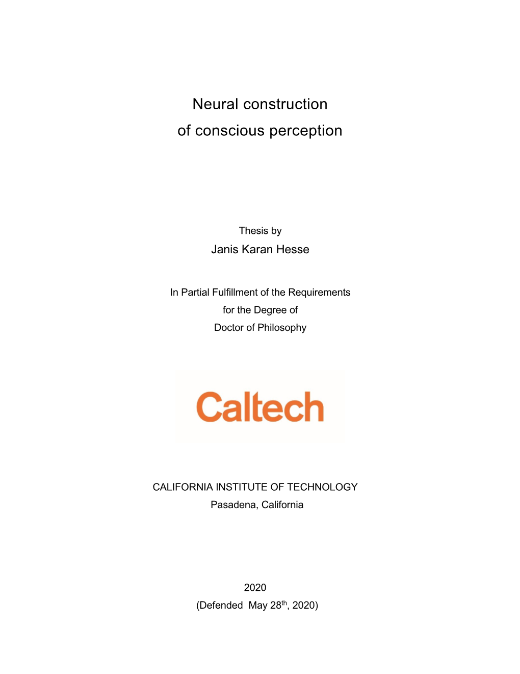 Neural Construction of Conscious Perception