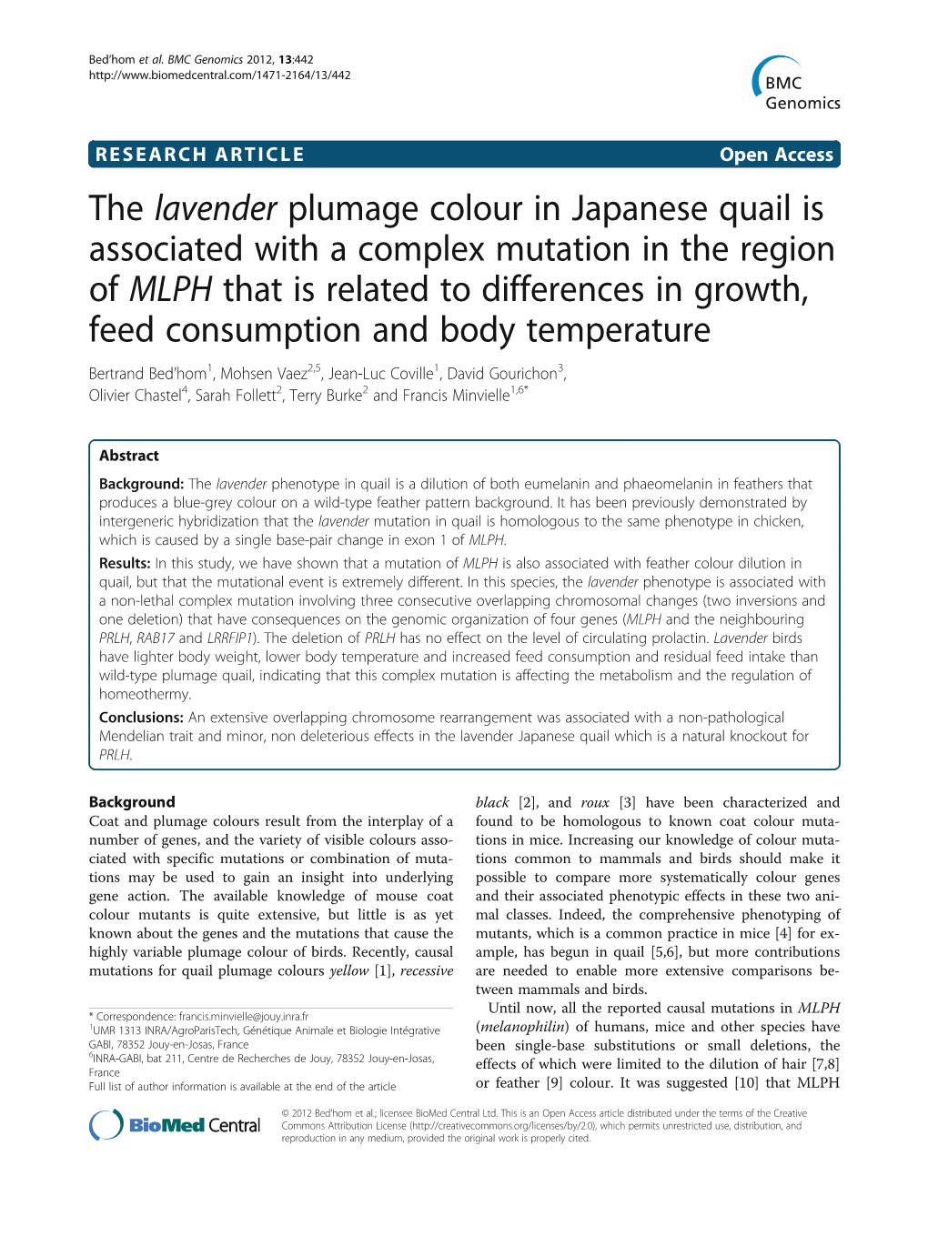 The Lavender Plumage Colour in Japanese Quail Is