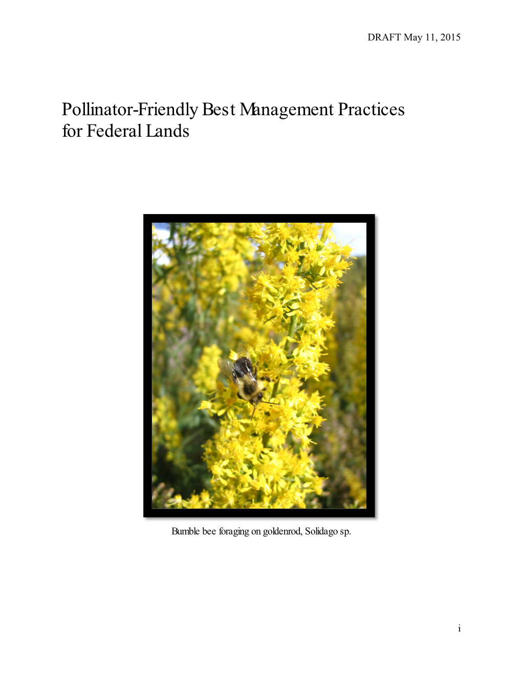 Pollinator-Friendly Best Management Practices for Federal Lands