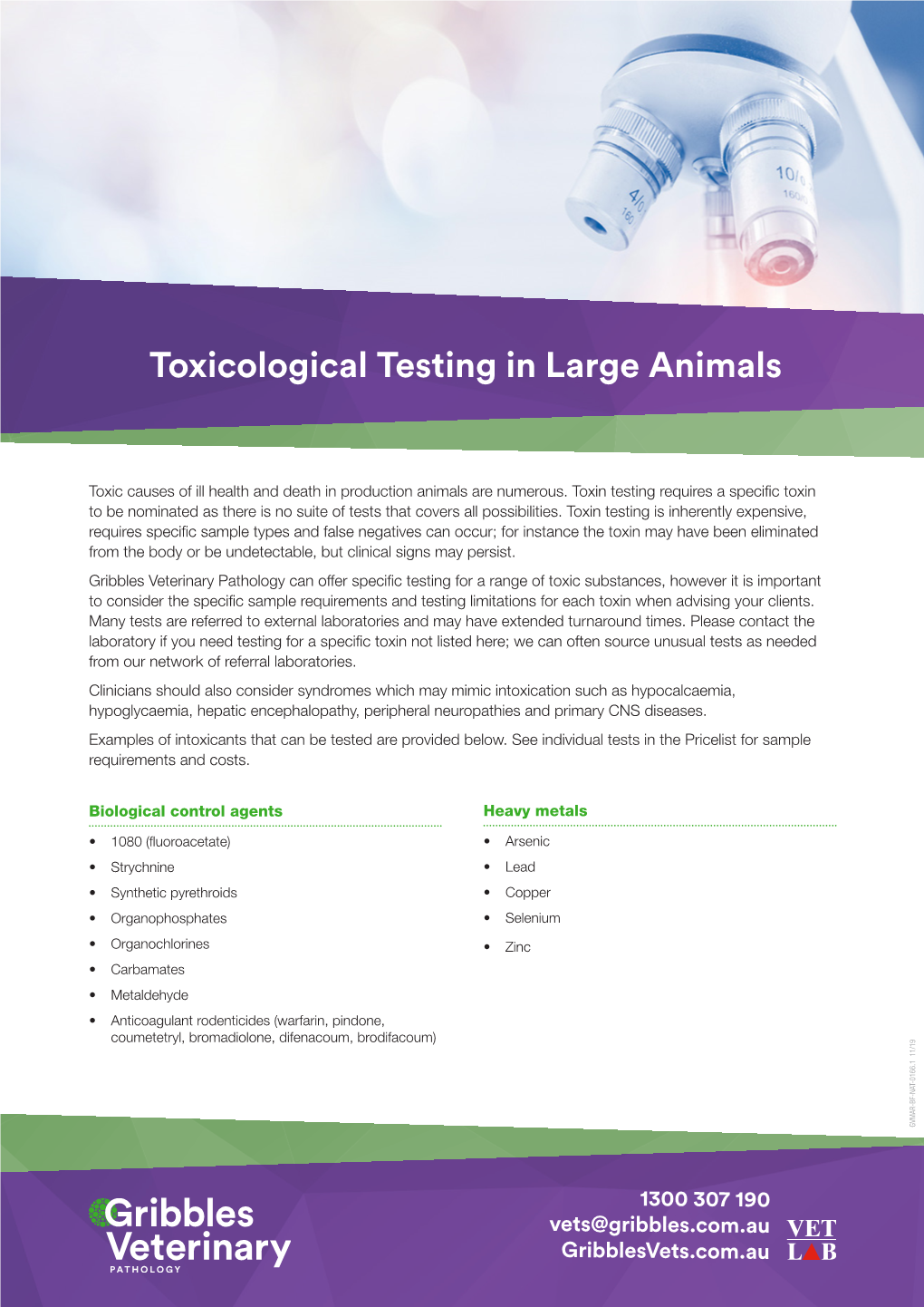 Toxicological Testing in Large Animals