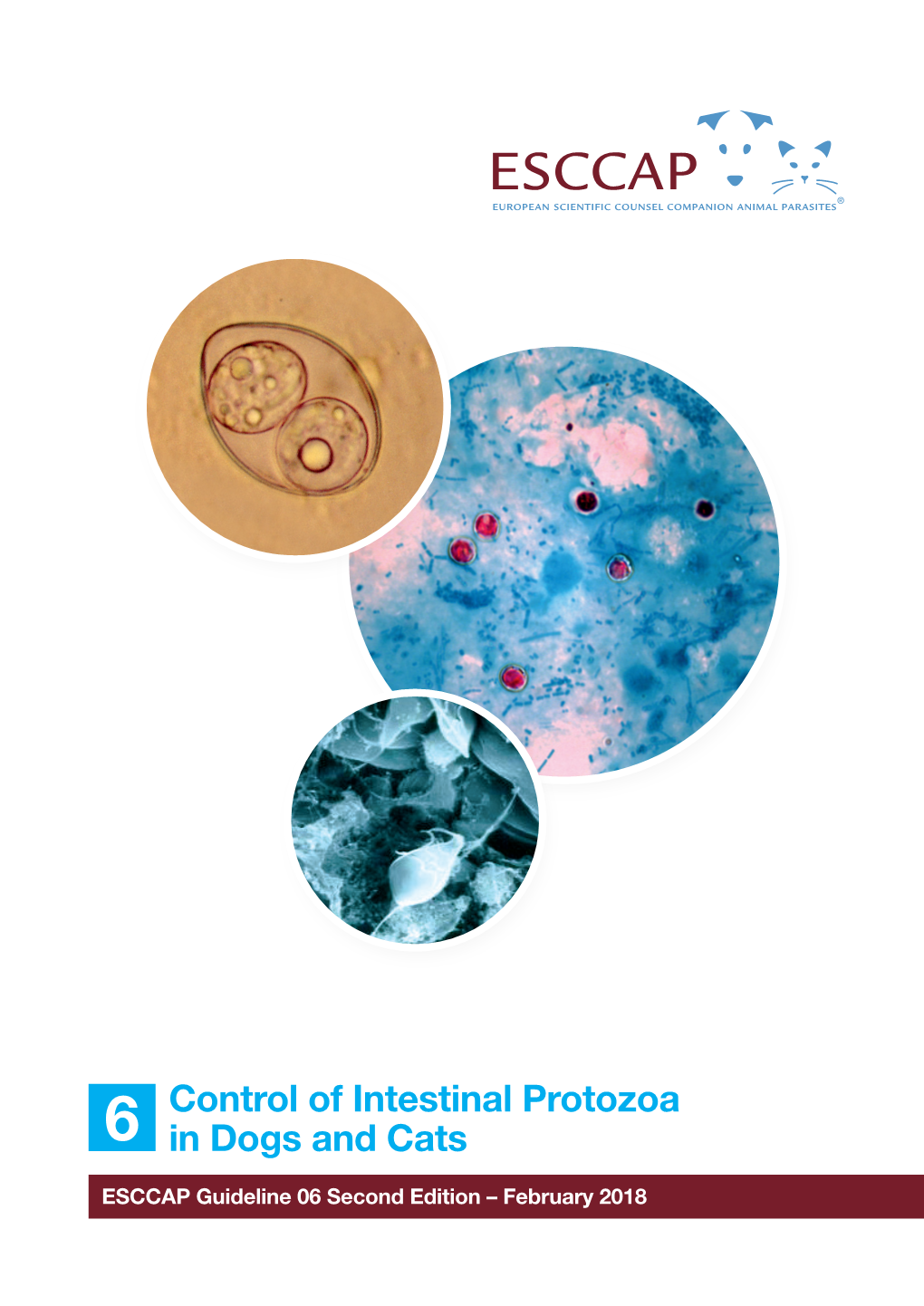 Control of Intestinal Protozoa in Dogs and Cats