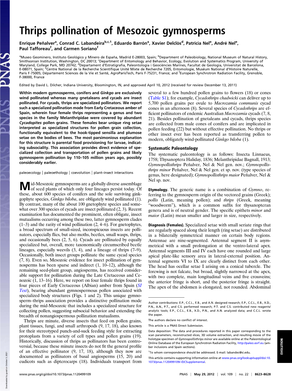 Thrips Pollination of Mesozoic Gymnosperms