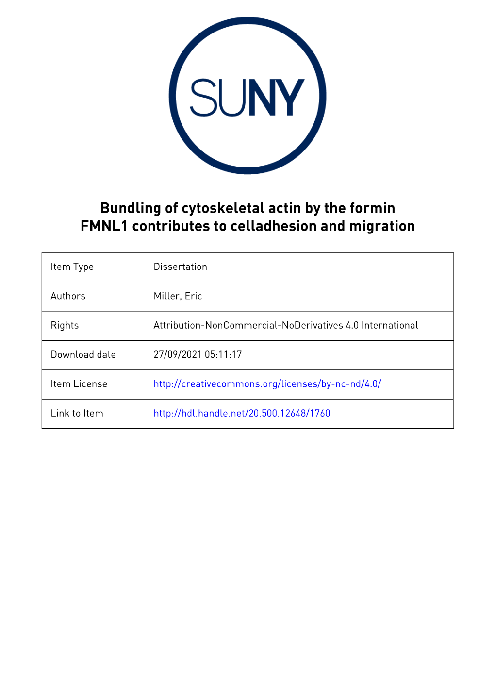 Bundling of Cytoskeletal Actin by the Formin FMNL1 Contributes to Celladhesion and Migration